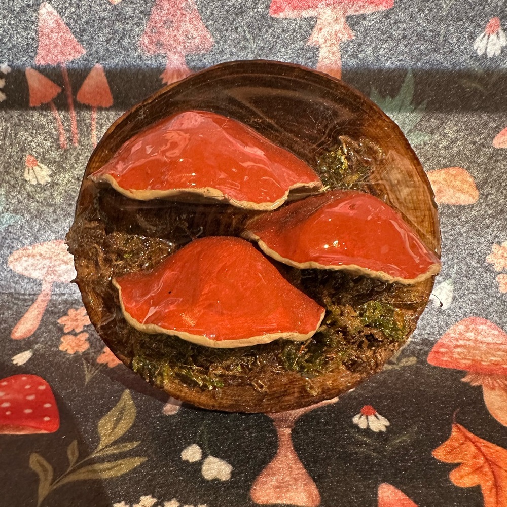Red Mushrooms Magnet